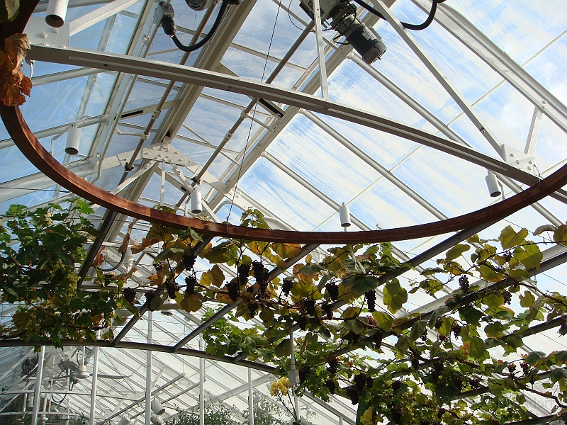 333 Longwood Gardens [2008 August 23].JPG - Longwood Gardens in Pennsylvania